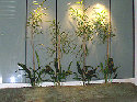 index008004.jpg