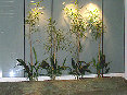 index012012.jpg